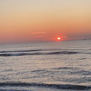 EVERYTHING MUST GO!!! SEND OFFERS!!!!